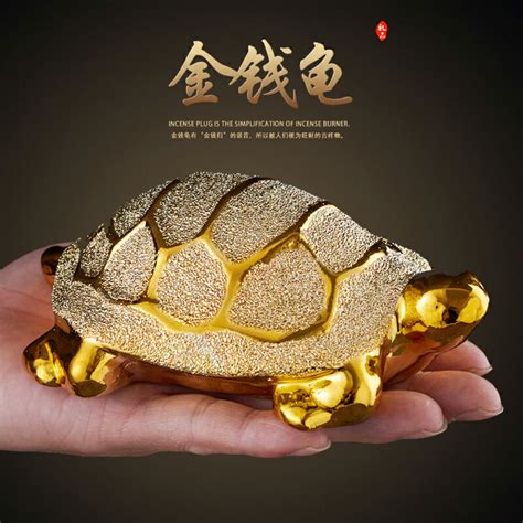 枇杷 風水 烏龜圖片
